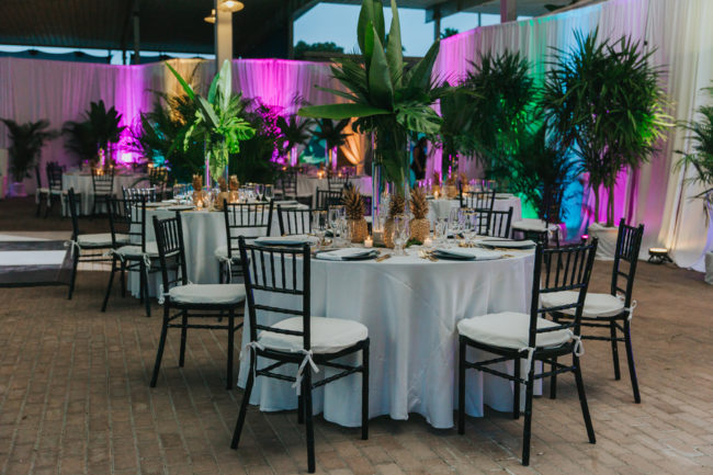 tropical aquarium wedding