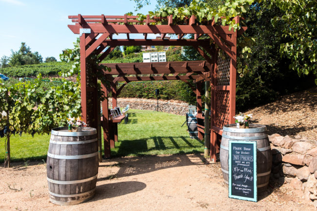 intimate vineyard wedding