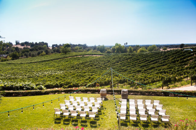 intimate vineyard wedding