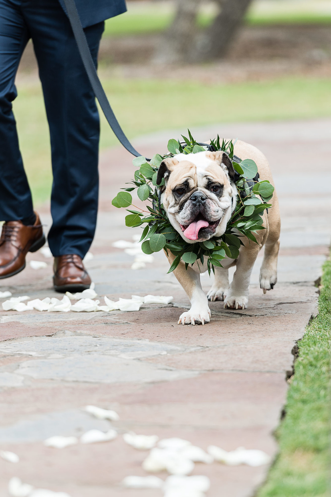 white garden wedding