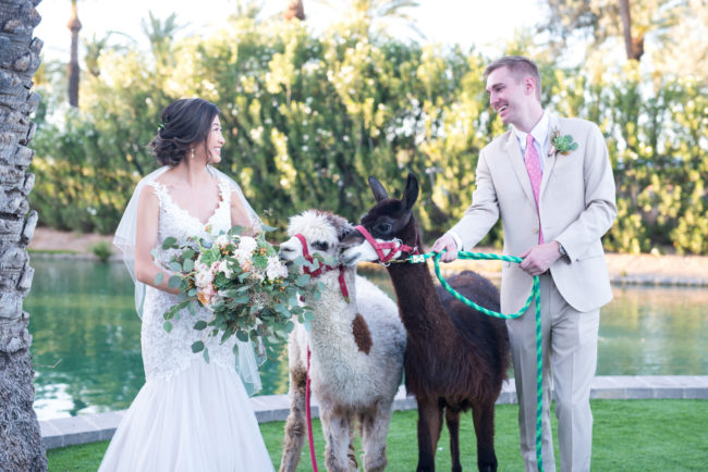 Arizona destination wedding