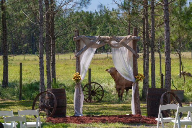 rustic barn wedding