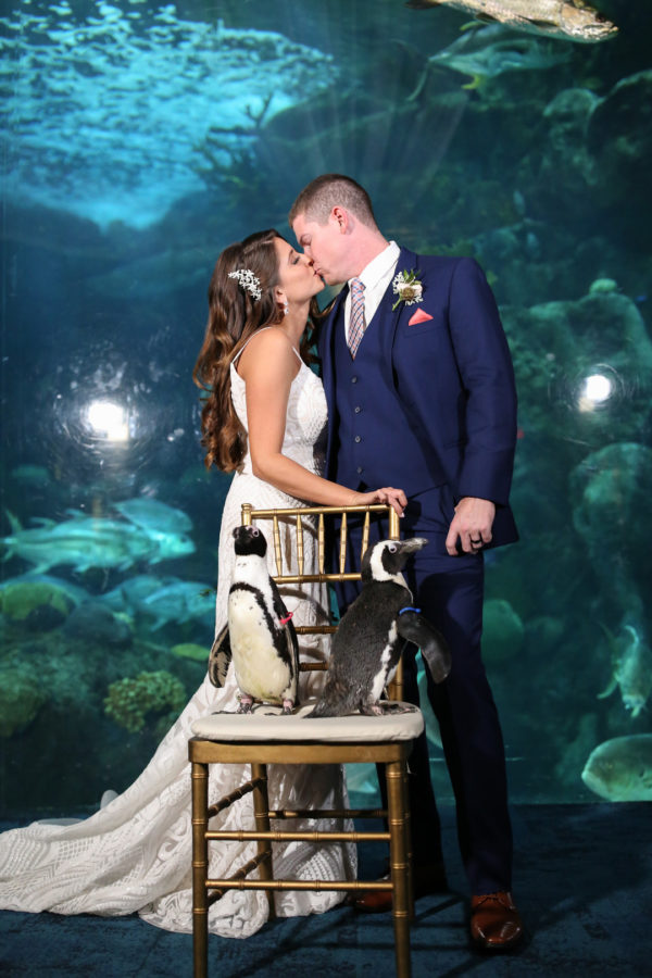 Florida aquarium wedding