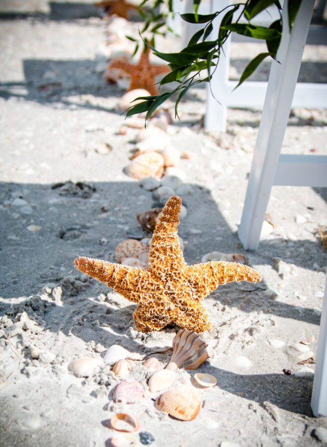 Florida beach wedding