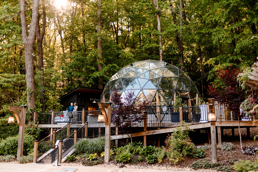 The Star Dome among the trees at ReTreet in Scottsboro, Alabama