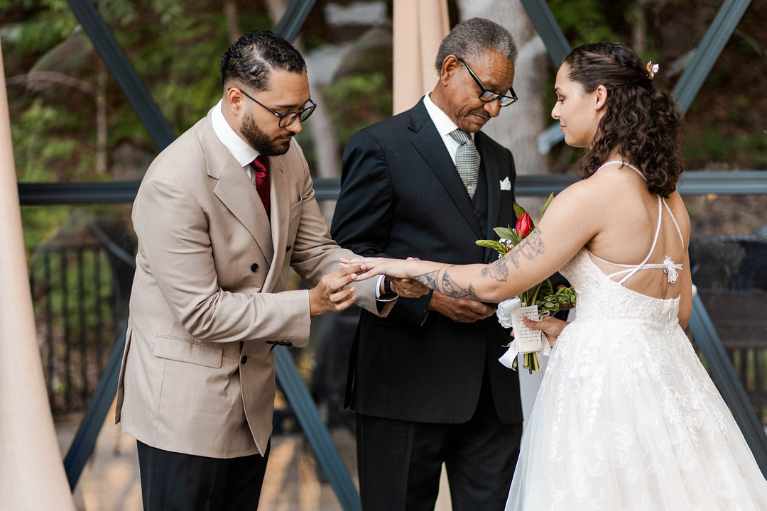 Bride and groom holding hands with their officiant during the ceremony